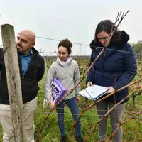 Laurent Rousseau, des Vignobles Rousseau en Gironde a choisit d'être audité via l'option A. Le contrôle de la mise en place des mesures agroécologique