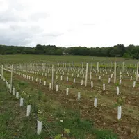 Le Code rural prévoit que le preneur à bail, qui a apporté des améliorations par son travail ou par des investissements, a droit à une indemnité pour