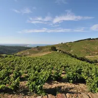 L'obligation réelle environnementale est une démarche volontaire définie par un contrat, par lequel le propriétaire foncier engage des démarches envir