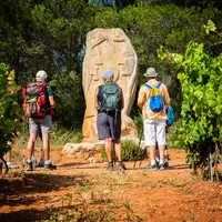 Développé avec succès dans l'Hérault (ici près de Montagnac), le concept Œnorando veut se lancer au niveau national avec l'appui de la Fédération fran