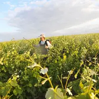 Le nombre de vignerons en biodynamie croit de plus de 10% par an. Les deux marques qui se proposent pour certifier la démarche offrent quelques différ