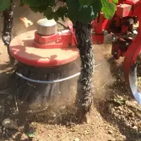 Selon les réglages, les brosses viennent plus ou moins lécher les pieds de vigne. © Boisselet