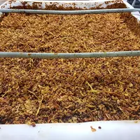 Le marc de raisin contient des éléments comme les acides gras qui peuvent aider à booster les fermentations en cas de ralentissement. Toutefois, au-de