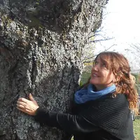 Artiste plasticienne, Catherine Baas aime travaille sur le thème de la vigne.  © C. Baas