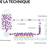 Comprendre la désalcoolisation partielle © Source : Gemstab.