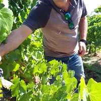 Julien Meffre, œnologue-consultant à l'ICV, dispense ses conseils sur la réalisation d'un pied de cuve dans le cadre de la formation Utiliser les prin
