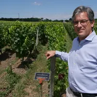 Arnaud Delaherche, responsable R&D des vignobles Magrez, est en charge de la collection de cépages de La Tour Carnet. Il espère identifier les mieux a