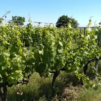 Lorsqu'un bien agricole est cédé, s'il a successivement figuré au patrimoine privé puis professionnel (ou inversement) du propriétaire, les plus-value