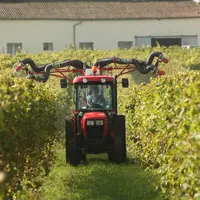 Les nouvelles spécialités pour traiter la vigne font principalement partie de la famille des biocontrôles. © L. Vimond