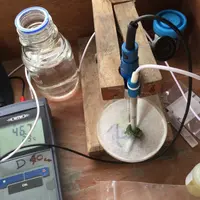 Le potentiel rédox représente la disponibilité des électrons. Il s'exprime en millivolts et forme un couple avec le pH.