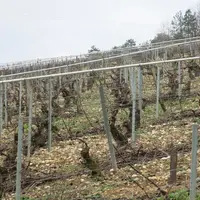 À Beine, dans le vignoble de Chablis le dispositif de lutte collective contre le gel par l'aspersion cumule 42 ans d'existence. Il concerne 30 vignero