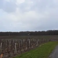 Entre 2001 et 2020, le vignoble de Quincy a acheté 66 tours antigel via la Cuma des Vignobles, créée dans ce but. Près de 85% du vignoble est ainsi pr