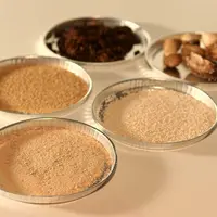 Le chitosone d'origine fongique est dérivé de la chitine, un polysaccharide sans danger sur la santé humaine. Selon les fabricants, sa composition peu