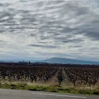 Le terrain convoité pour l'implantation des éoliennes se situe au lieu-dit Boutenague, en plein cœur du cru La Livinière, qui est la seule appellation
