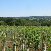 Un état des lieux est essentiel pour pouvoir justifier de l'existence d'améliorations ou de dégradations de l'objet du bail. Il évite les contentieux.