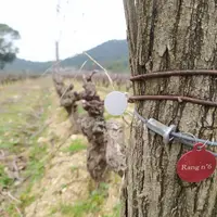 Cuvée privée se charge de graver le médaillon au nom de l'adopteur et de le positionner dans les vignes. Chaque rang est numéroté afin de permettre à