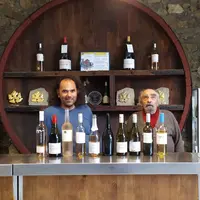 Vincent et François Pugibet, vignerons au domaine de la Colombette produisent aujourd’hui quasiment exclusivement des vins à faibles teneurs en alcool
