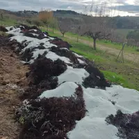 Le Zéowine est issu d'un compostage de zéolite avec des sous produits de la filière, dans une démarche d'économie circulaire. © Twitter/Life Zeowine p