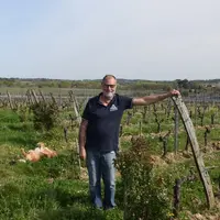 Philippe Ducourt, responsable des vignobles Ducourt dans l'Entre-deux-mer, a réduit ses IFT de 30% en dix ans en actionnant plusieurs leviers. © J.Gra