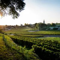 De l'adhésion volontaire à des projets environnementaux à l'obligation inscrite dans le cahier des charges, les appellations se forgent des stratégies
