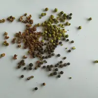C'est seulement en 2008 que des chercheurs australiens ont découvert que les arômes poivrés dans les vins rouges provenaient d'un composé volatil déno