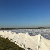 Face au gel d'avril 2021, les voiles d'hivernage testés en Val de Loire par trois vignerons ont montré un vrai potentiel d'efficacité. Ils cherchent d