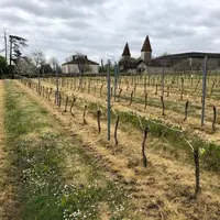 La fusion entre la cave coopérative Les vignerons de Gerland et le groupe coopératif Vivadour est actée. Vivadour devient ainsi le premier faiseur en