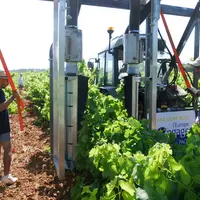 Flavescence dorée : aspirer les cicadelles des vignes plutôt que de traiter