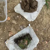 Un test, en regardant les mottes de terre et en les plongeant dans l'eau, permet de donner une idée de l'état du sol et de l'activité biologique.