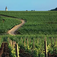 Il est désormais possible de tester le fonctionnement en Gaec dans huit départements, dont la Saône-et-Loire.