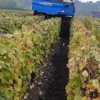 L'épandage de matière organique est l'action ayant le plus fort impact sur le stockage du carbone en viticulture.