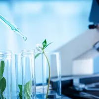 Les NBT pourraient sortir des laboratoires et servir directement à la création variétale.