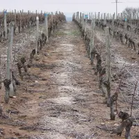 Les apports sont à réaliser en hiver et surtout avant l’apport de matière organique.