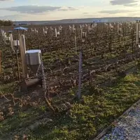 Les chaufferettes représentent un investissement plus lourd que les bougies, mais sont réutilisables.