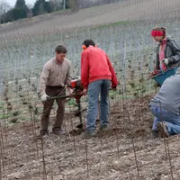 La filière fait face à un manque de main-d’œuvre. Il va lui falloir évoluer pour remédier à cette situation.