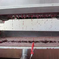 Les levures non-Saccharomyces interviennent dans les toutes premières étapes de la vinification, avant que le milieu ne contienne trop d'alcool.