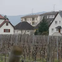 Les parcelles en plein village ou proches d'habitations vont devenir un véritable casse-tête à traiter.