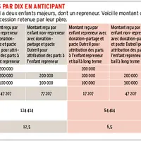 Cinq outils pour optimiser fiscalement la transmission d’une exploitation viticole