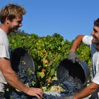 Convaincus du potentiel de la commande groupée, Martial et Samuel Arnaud ont décidé de commercialiser l'outil qu'ils ont mis au point pour leur domain