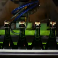 La désorption du bouchon entraîne un choc oxydatif dans les 100 jours qui suivent le bouchage.