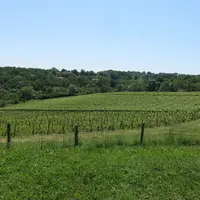 Les écorégimes, nouvelle formule d'aides de la PAC 2023-2027, pourront avoir un impact important sur certaines exploitations en polyculture.