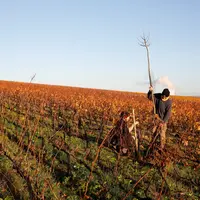 Le maintien d'une infrastructure agroécologique préexistante peut faire l'objet d'une clause environnementale insérée dans un bail rural.