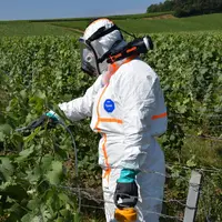 Les masques à ventilation active sont à utiliser dans le cas d'une pulvérisation à dos, ou bien depuis un chenillard ou un tracteur sans cabine.