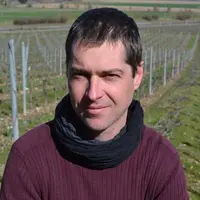 Christophe Gaviglio, ingénieur spécialisé en agroéquipements à l’IFV Occitanie, revient pour nous sur les astuces permettant de limiter la consommatio