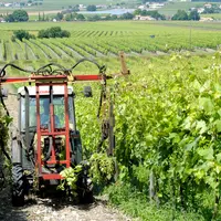 Les travaux en vert sont à raisonner en fonction de chaque exploitation.