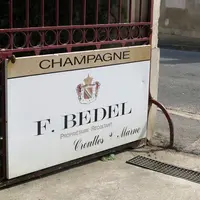 Quel rôle jouent les vigneronnes de Champagne dans la filière aujourd'hui ? La commission des viticultrices du SGV a initié une enquête universitaire