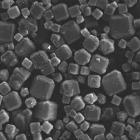 Lorsque l'on regarde au microscope, la zéolithe forme de petits cristaux carrés microporeux.