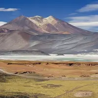 Le désert d'Atacama, au Chili, a servi de sujet d'étude pour les scientifiques. Les plantes qui y poussent vivent dans des conditions extrêmes.
