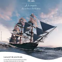 L'ICV vient de lancer la levure Black Pearl, adaptée aux situations de forte maturité.