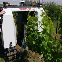 Le YV01 est doté d'un moteur thermique de 27 chevaux et de quatre descentes à jet porté pour traiter deux rangs à la fois.